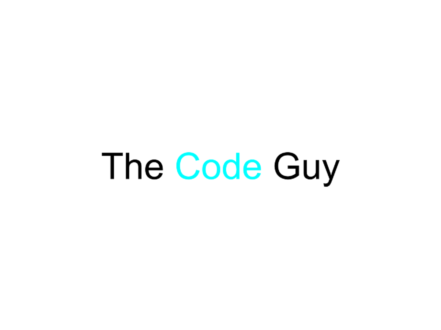 The Code Guy